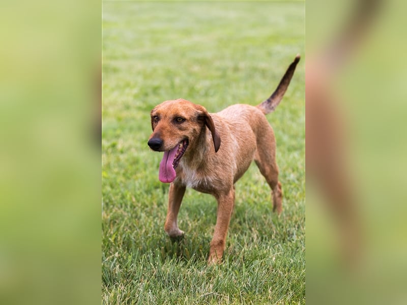 JOY möchte endlich ihr Leben genießen dürfen