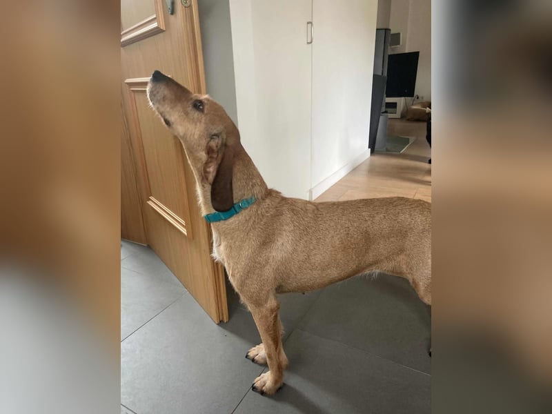 JOY möchte endlich ihr Leben genießen dürfen