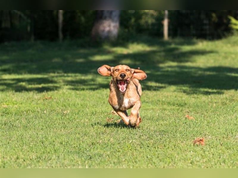 JOY möchte endlich ihr Leben genießen dürfen