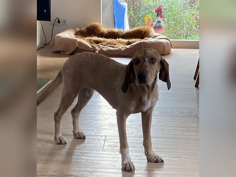 JOY möchte endlich ihr Leben genießen dürfen