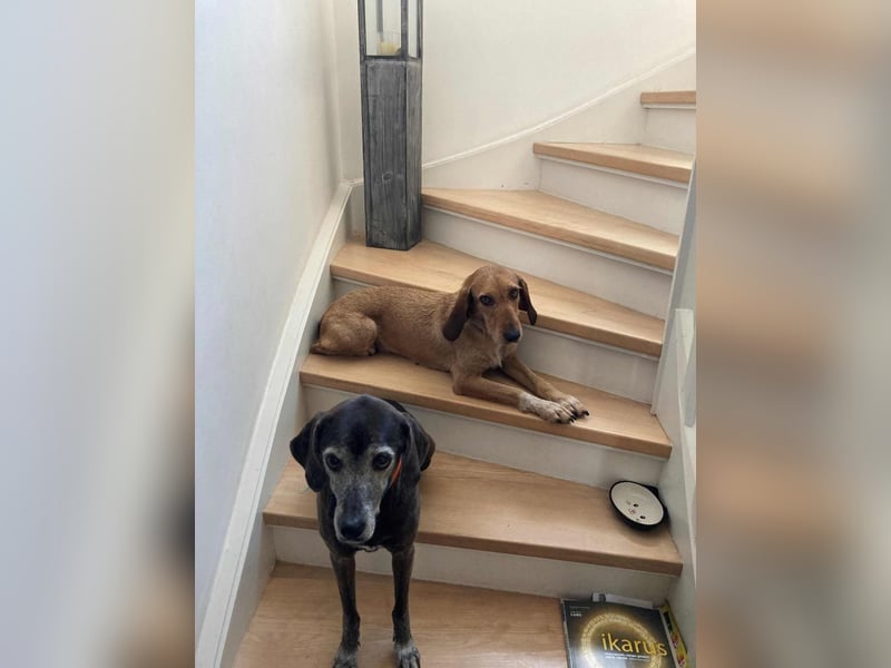 JOY möchte endlich ihr Leben genießen dürfen