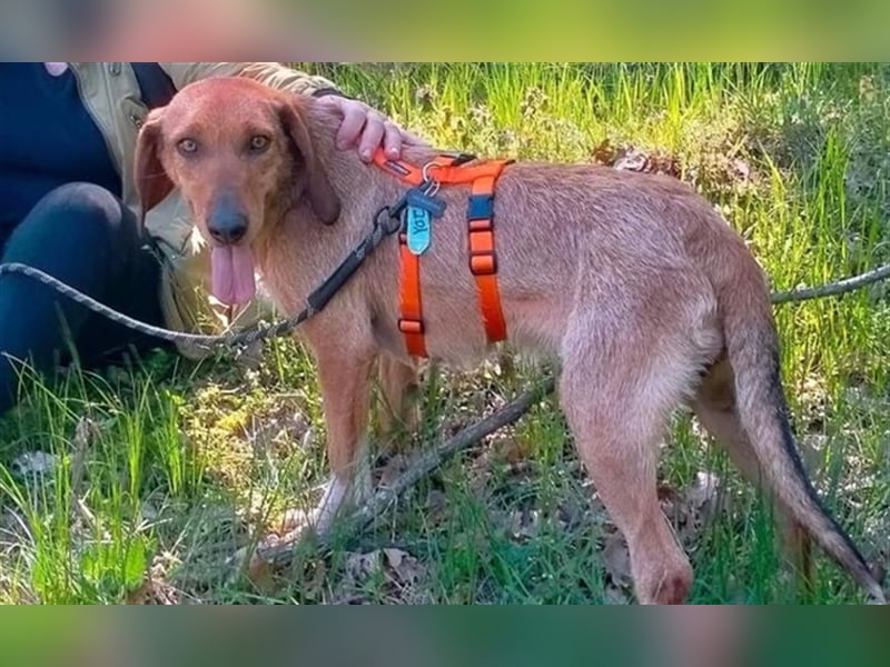 JOY möchte endlich ihr Leben genießen dürfen
