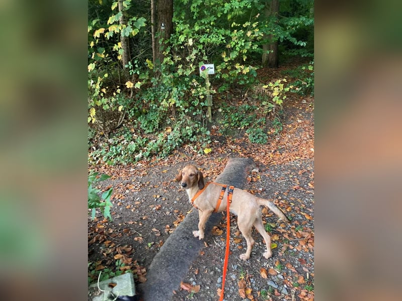 JOY möchte endlich ihr Leben genießen dürfen