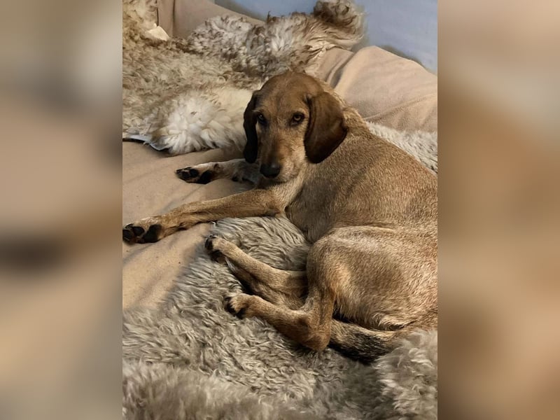 JOY möchte endlich ihr Leben genießen dürfen