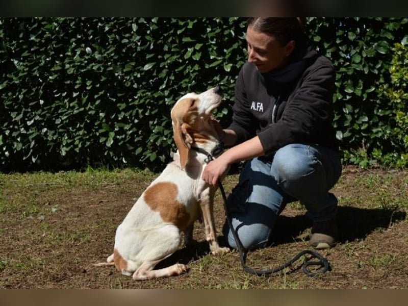 Deva - Die Sache mit dem Regen, der Traufe und einem Leben