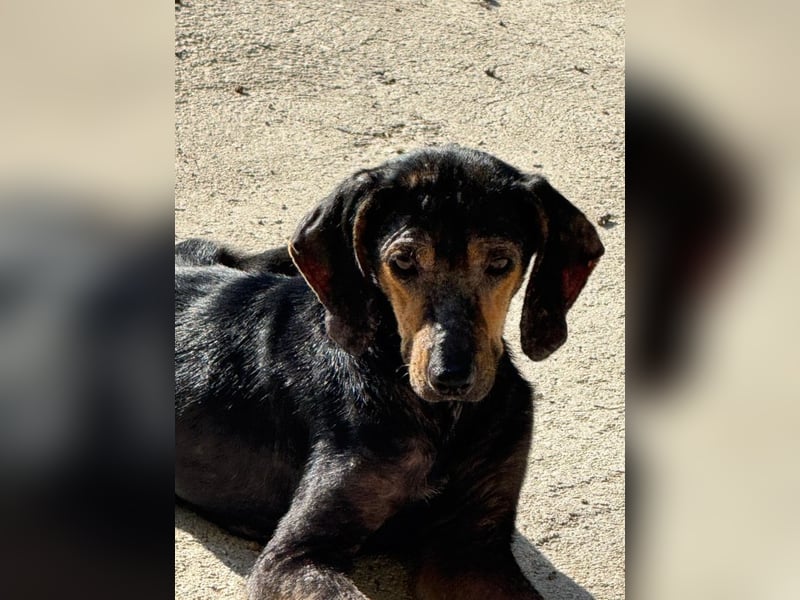 Cinderella - Warten auf ein Happy End wie im Märchen