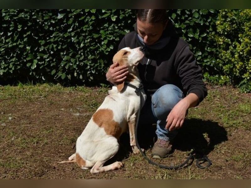 Deva - Die Sache mit dem Regen, der Traufe und einem Leben