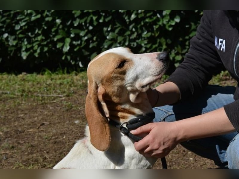 Deva - Die Sache mit dem Regen, der Traufe und einem Leben