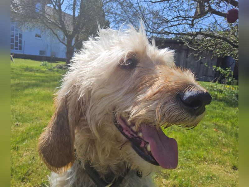 Notfall RED… alt, krank und nicht mehr gewollt….