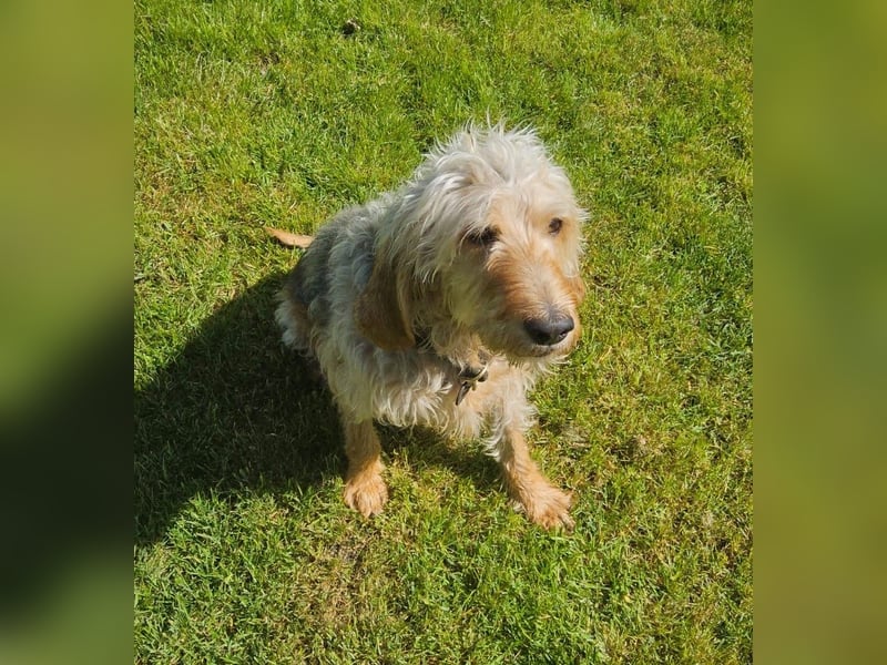 Notfall RED… alt, krank und nicht mehr gewollt….