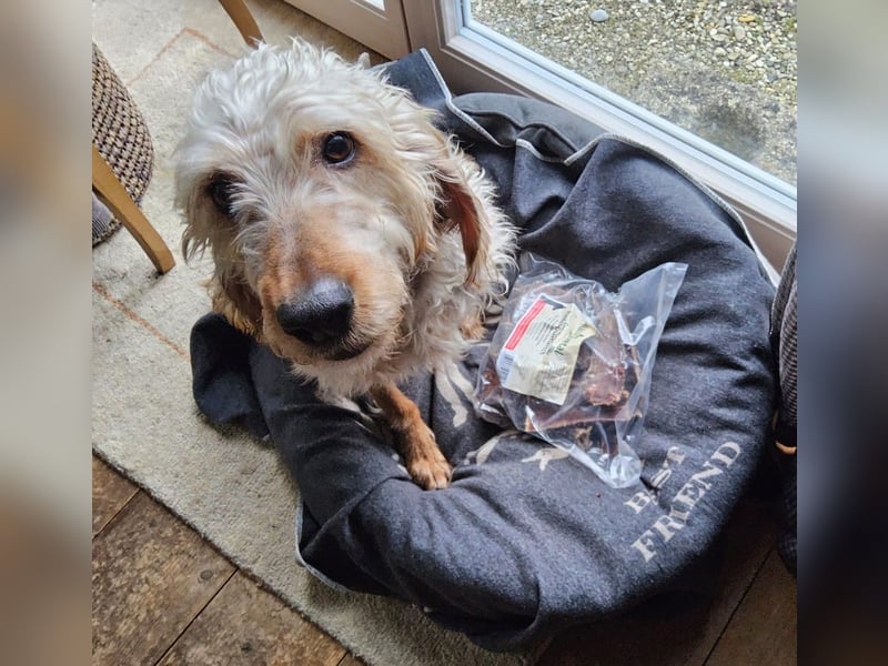 Notfall RED… alt, krank und nicht mehr gewollt….