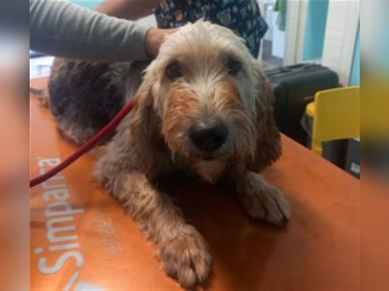 Notfall RED… alt, krank und nicht mehr gewollt….