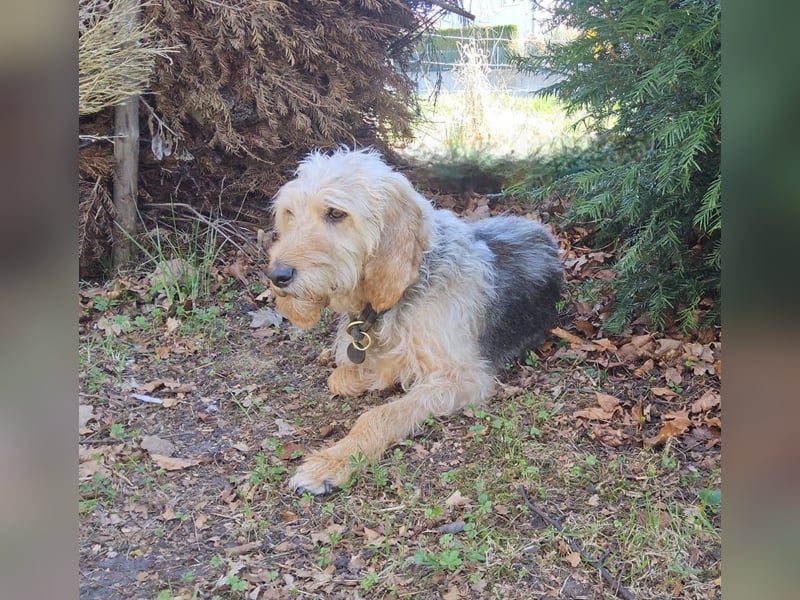 Notfall RED… alt, krank und nicht mehr gewollt….