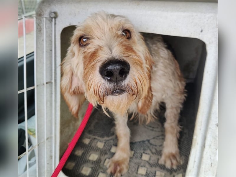 Notfall RED… alt, krank und nicht mehr gewollt….