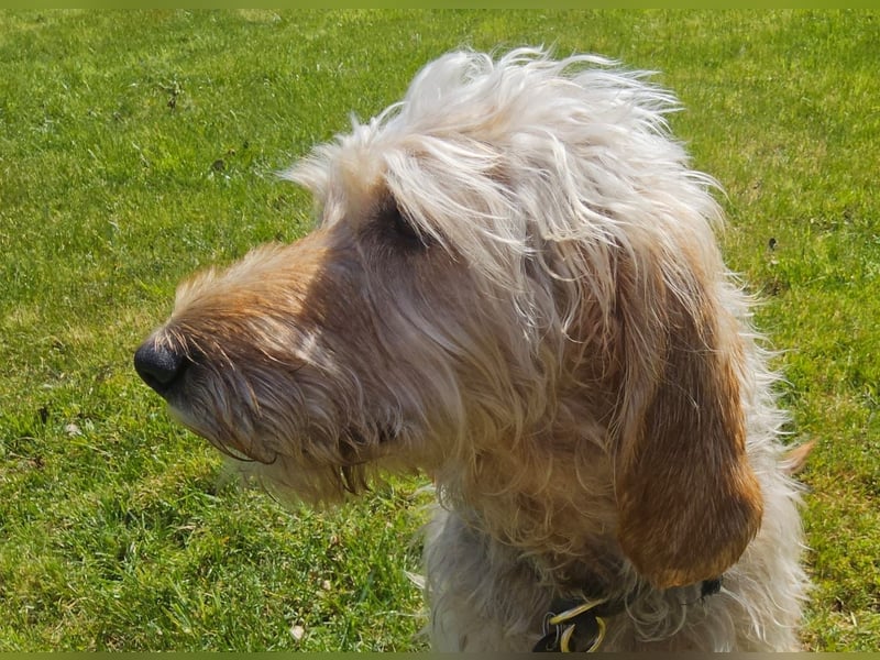 Notfall RED… alt, krank und nicht mehr gewollt….