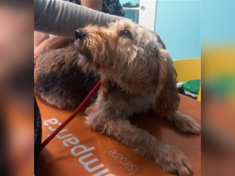 Notfall RED… alt, krank und nicht mehr gewollt….