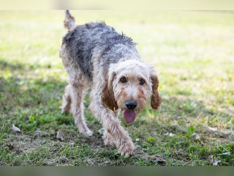 Notfall RED… alt, krank und nicht mehr gewollt….