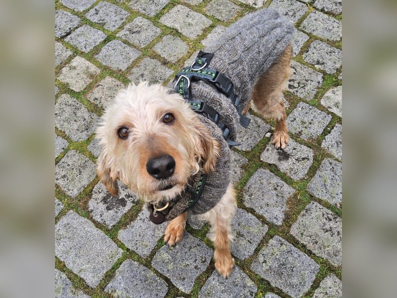 Notfall RED… alt, krank und nicht mehr gewollt….