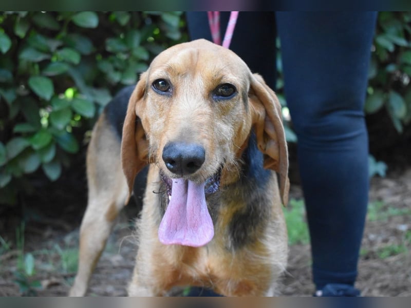 Neville - Abstellgleis - Nein Danke!