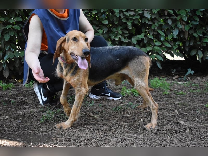 Neville - Abstellgleis - Nein Danke!