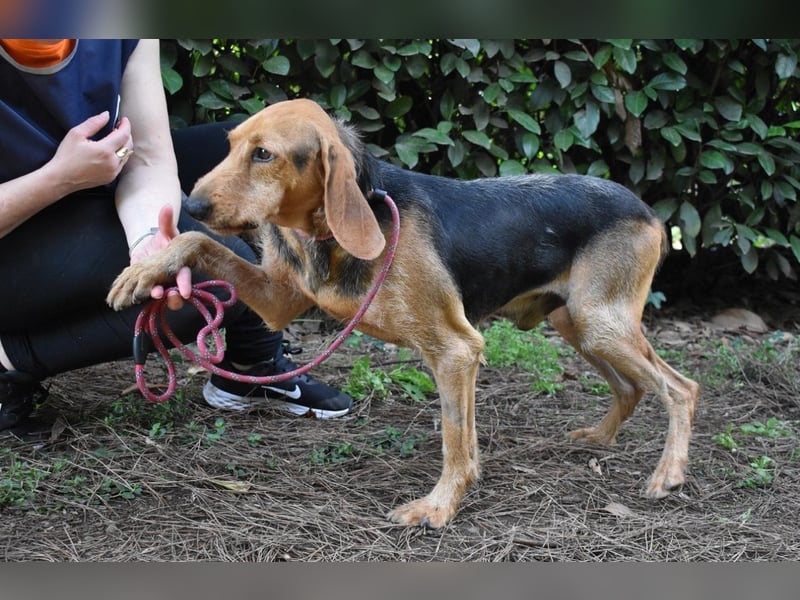 Neville - Abstellgleis - Nein Danke!