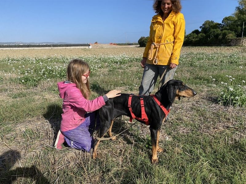Baro - Der Alleskönner
