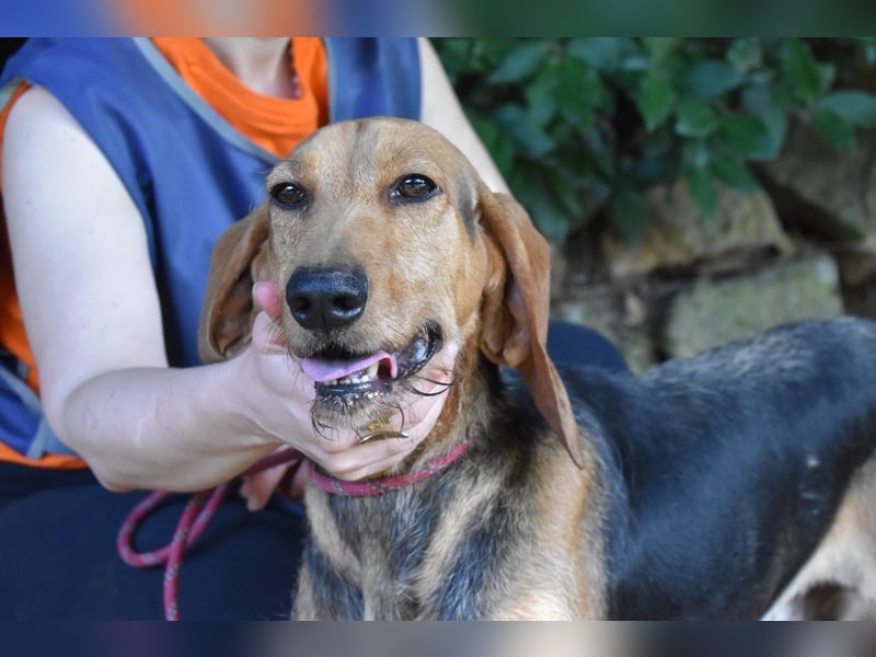 Neville - Abstellgleis - Nein Danke!