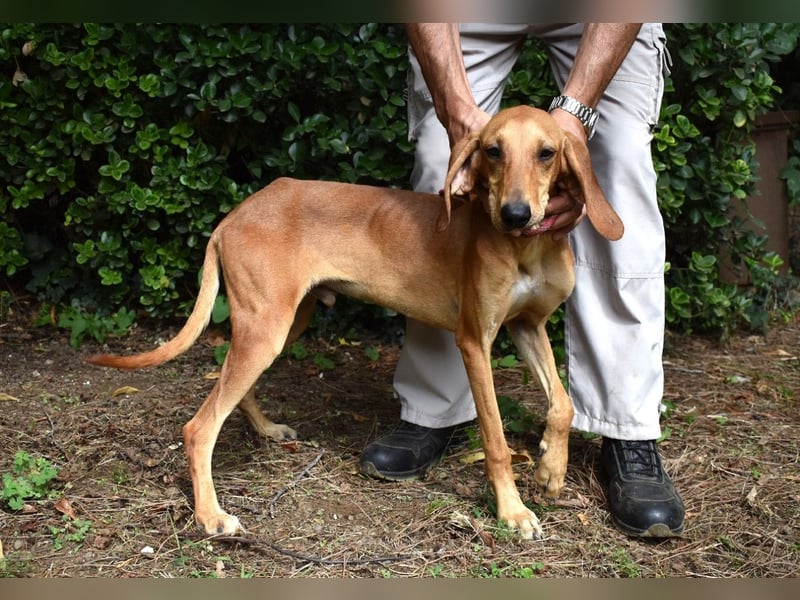 Myles - hofft auf ein warmes Plätzchen, bevor der Winter kommt