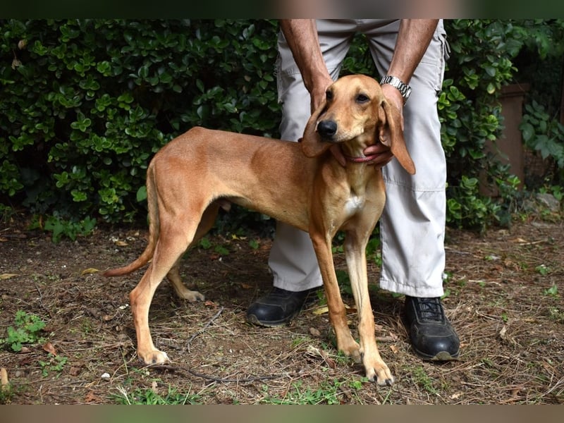 Myles - hofft auf ein warmes Plätzchen, bevor der Winter kommt