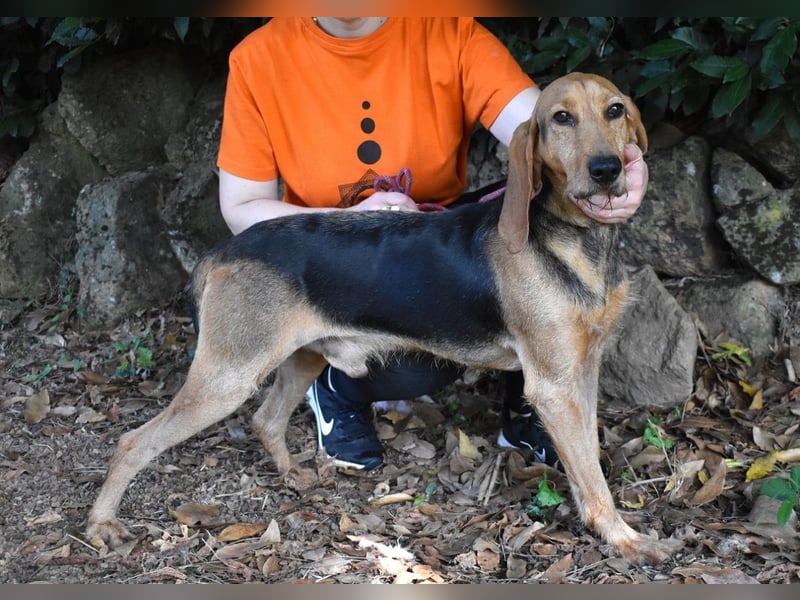 Neville - Abstellgleis - Nein Danke!