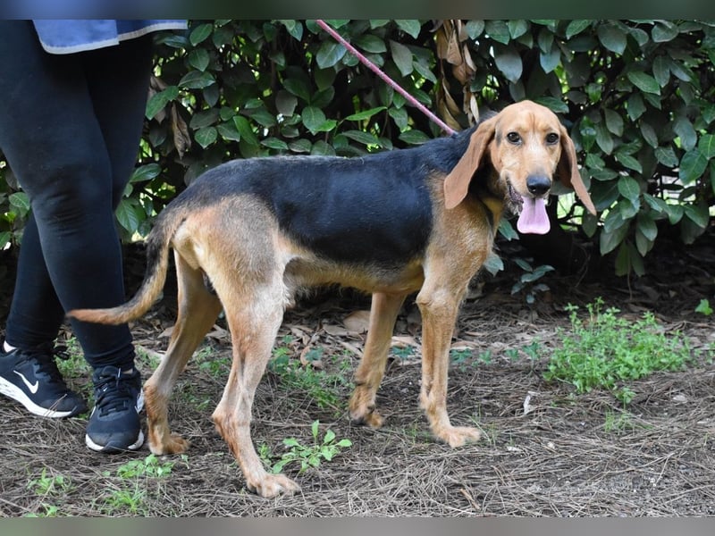 Neville - Abstellgleis - Nein Danke!