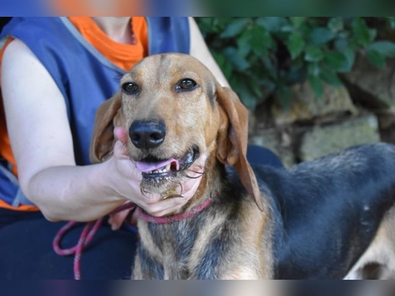 Neville - Abstellgleis - Nein Danke!