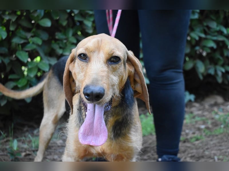 Neville - Abstellgleis - Nein Danke!