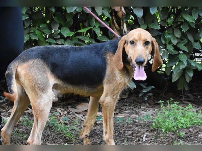 Neville - Abstellgleis - Nein Danke!