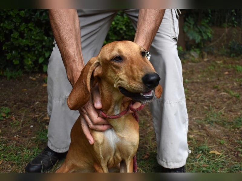 Myles - hofft auf ein warmes Plätzchen, bevor der Winter kommt