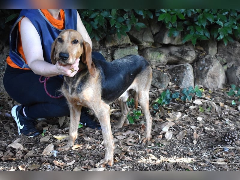 Neville - Abstellgleis - Nein Danke!