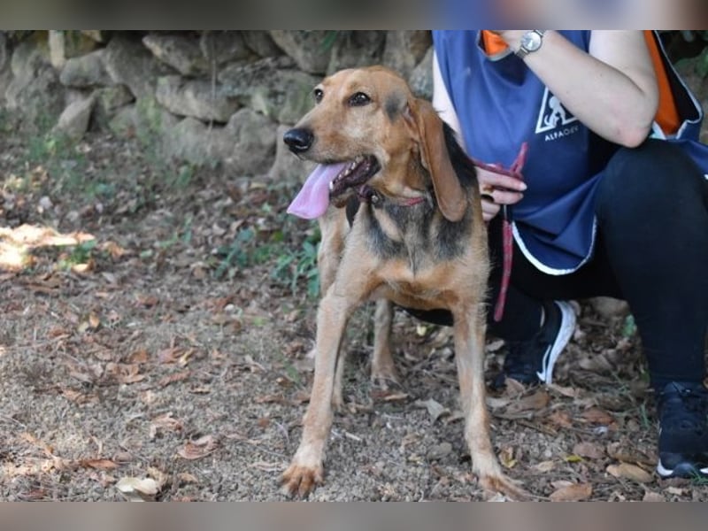 Neville - Abstellgleis - Nein Danke!