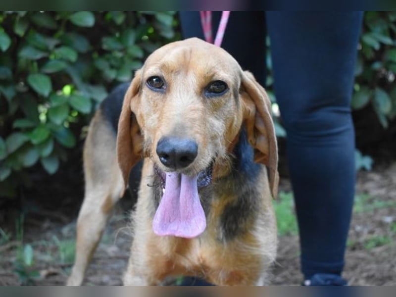 Neville - Abstellgleis - Nein Danke!