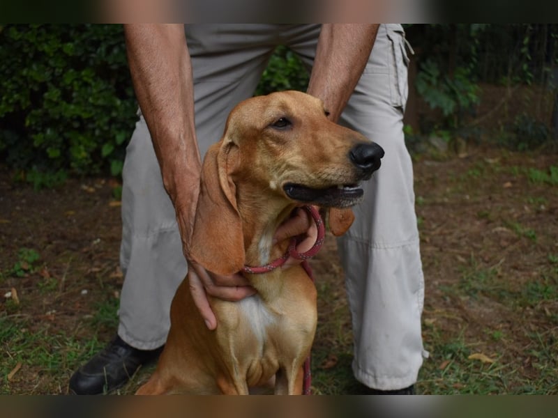 Myles - hofft auf ein warmes Plätzchen, bevor der Winter kommt