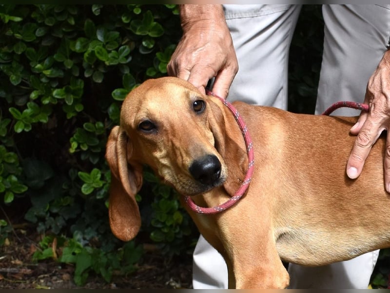 Myles - hofft auf ein warmes Plätzchen, bevor der Winter kommt