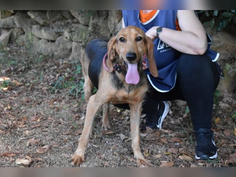 Neville - Abstellgleis - Nein Danke!