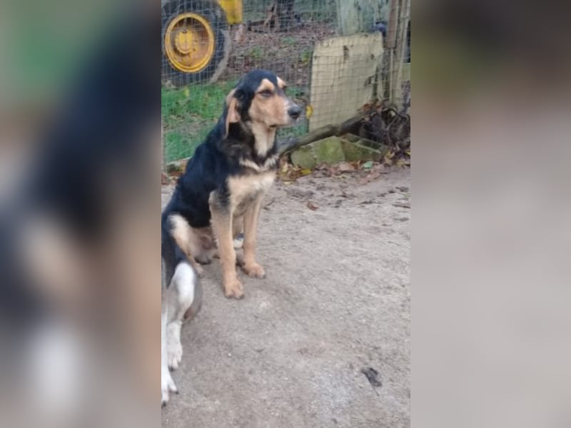 Mattia - neue Bilder
