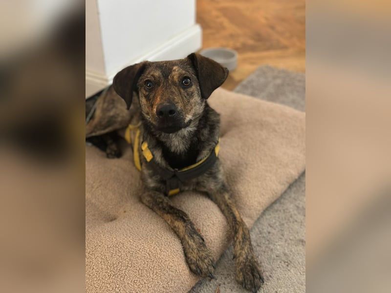 Paco: freut sich über Besuch in Bremen