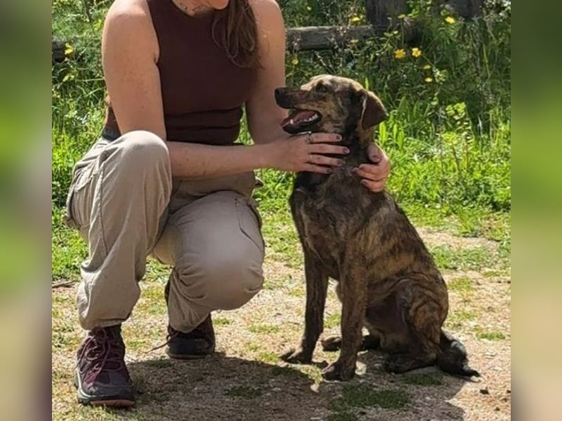 Paco: freut sich über Besuch in Bremen
