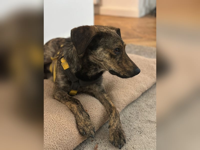 Paco: freut sich über Besuch in Bremen