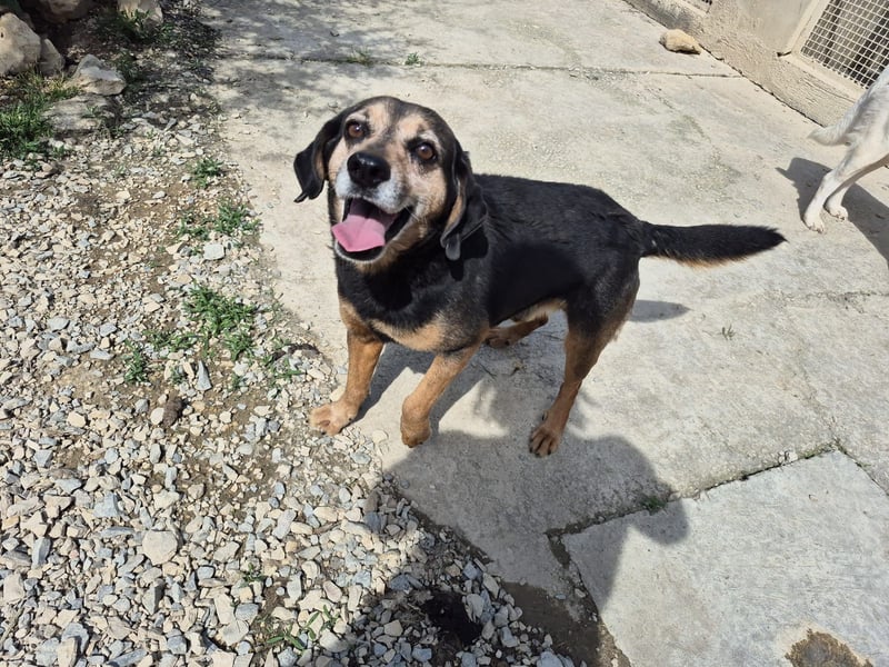 Frodo: einmal Liebe spüren