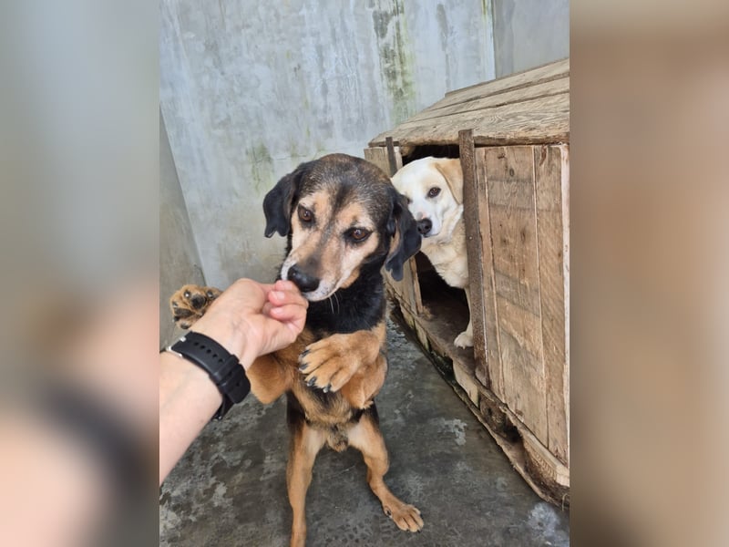Frodo: einmal Liebe spüren