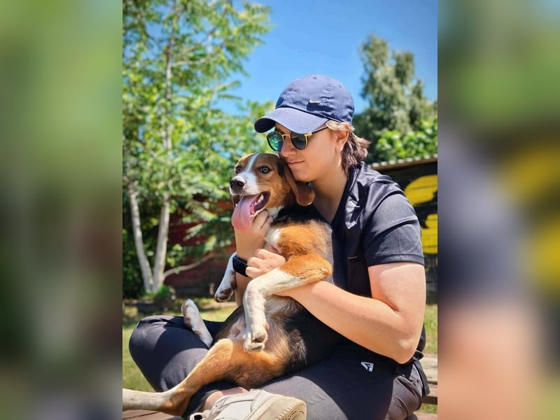 Finn - ein fröhlicher Schatz auf der Suche nach seinem Zuhause