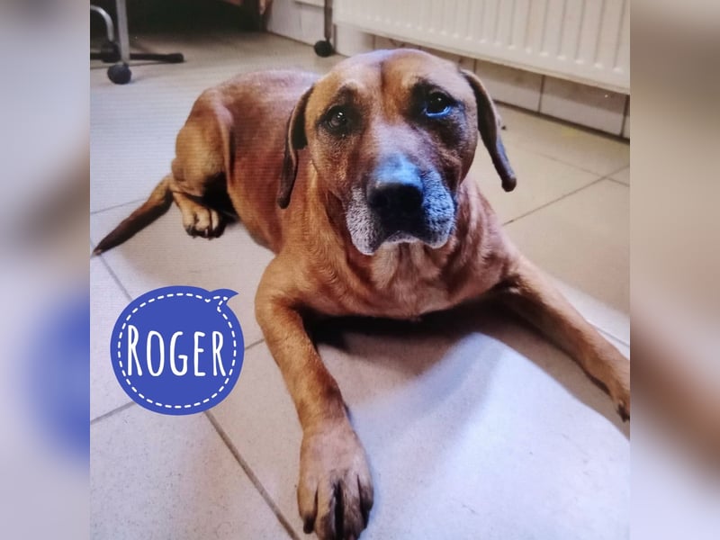 Roger eine n sanfter ruhiger Begleiter