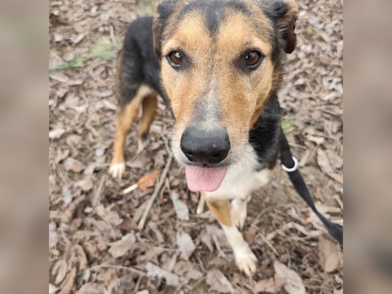 Nica eine gebrochene sanfte Seele